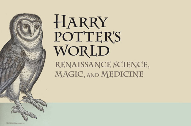 Harry Potter Exhibit