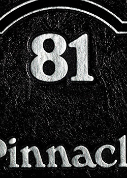 Glenbard West Yearbook Cover 1981